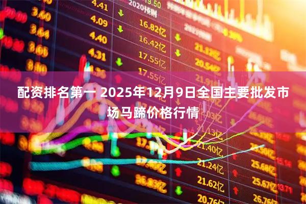 配资排名第一 2025年12月9日全国主要批发市场马蹄价格行情